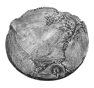 Médaille du prix Léon-Gérin 1981 créée par Claude Loranger