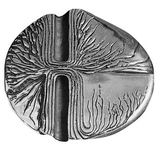 Médaille du prix Marie-Victorin 1979 créée par Claudette Hardy-Pilon