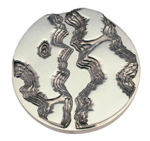Médaille du prix Marie-Victorin 1988 créée par Michel Lacroix